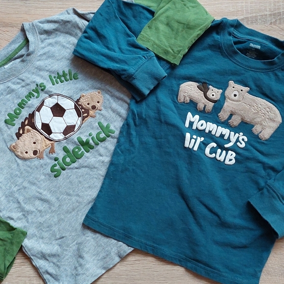 Gymboree 5T bear / hedgehog tees - Picture 16 of 16